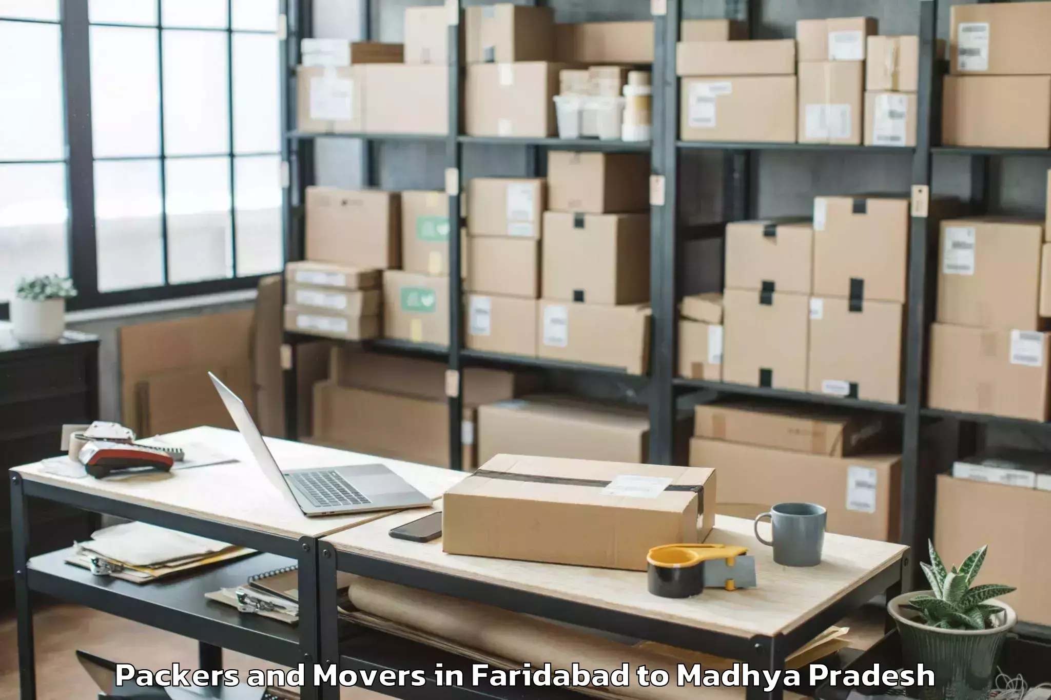 Professional Faridabad to Majhauli Packers And Movers